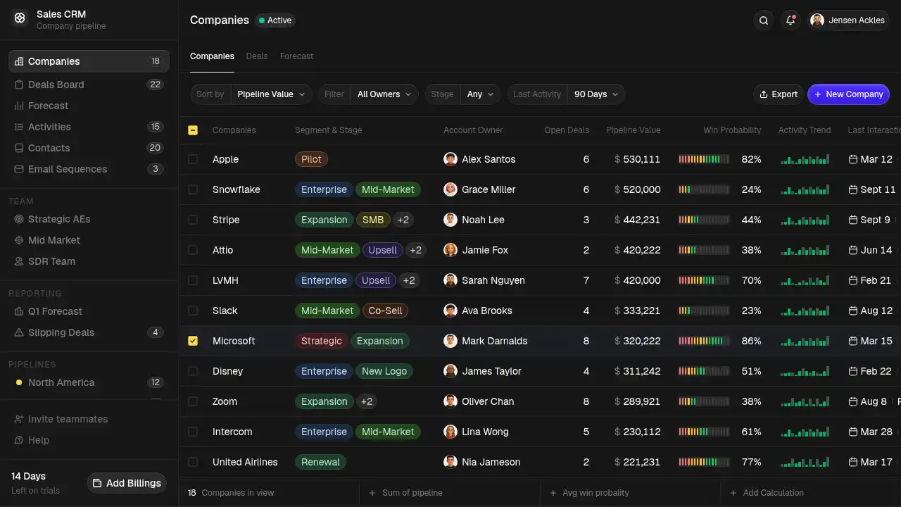 Sales CRM template preview